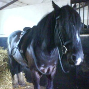 Sox :)