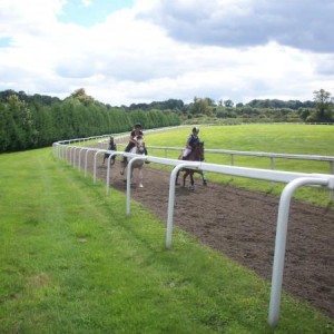 Galloping gourmet!