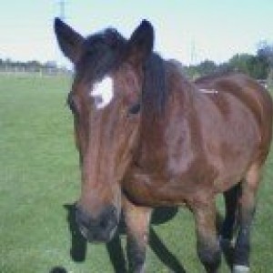 Pascal last winter x