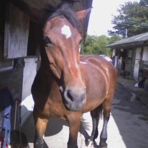 Miss u princess :( xx