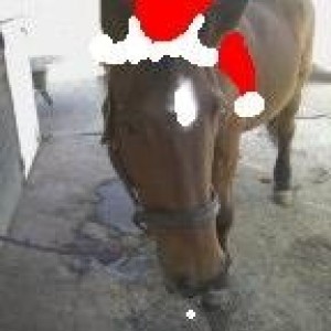 Merry xmas :)