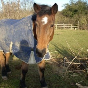 Last pic i ever got of my beautiful girlie xx