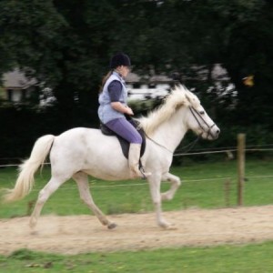 Sól in lose rein tolt,sucse my postion and the fact im in wellies :) We were cooling off after a training sesh
