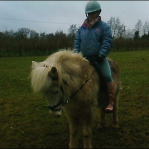 Media 'Sól and moi' in album 'My horses'