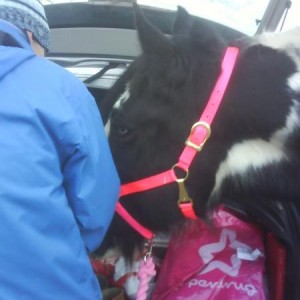"oooh anything to eat in the boot?"