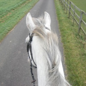 Wandering down the lane